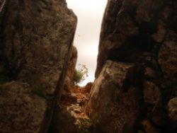 Regina-F-Rau_2013-08-15_Frohkostgipfel  (077).JPG
